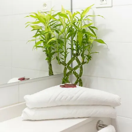 坎加胡斯中心公寓酒店 * Playa Cancajos.- BreNa Baja (la Palma)