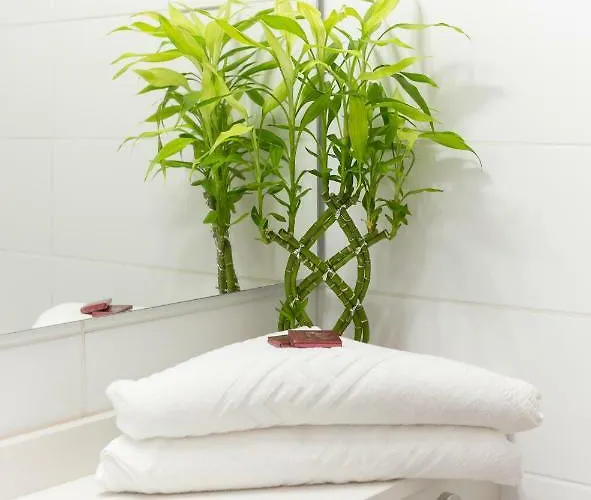 Centro Cancajos * Playa Cancajos.- BreNa Baja (la Palma)